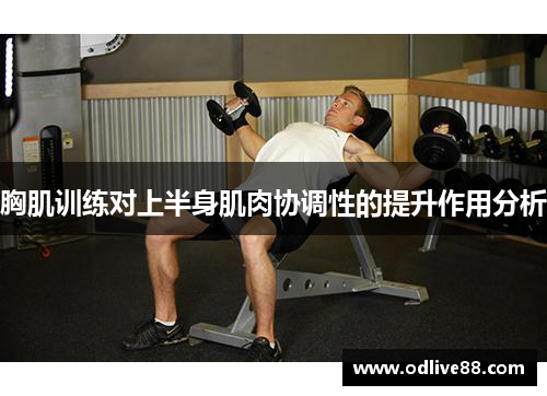 胸肌训练对上半身肌肉协调性的提升作用分析