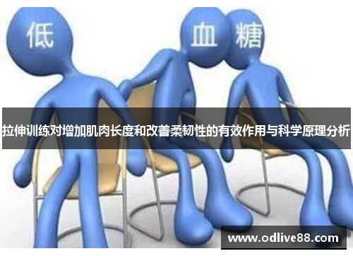 拉伸训练对增加肌肉长度和改善柔韧性的有效作用与科学原理分析